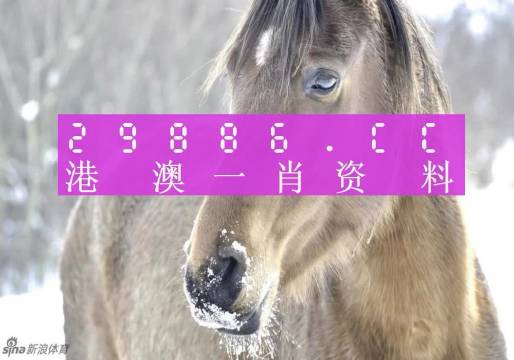 澳门精准一肖一码100%准确|精选解释解析落实