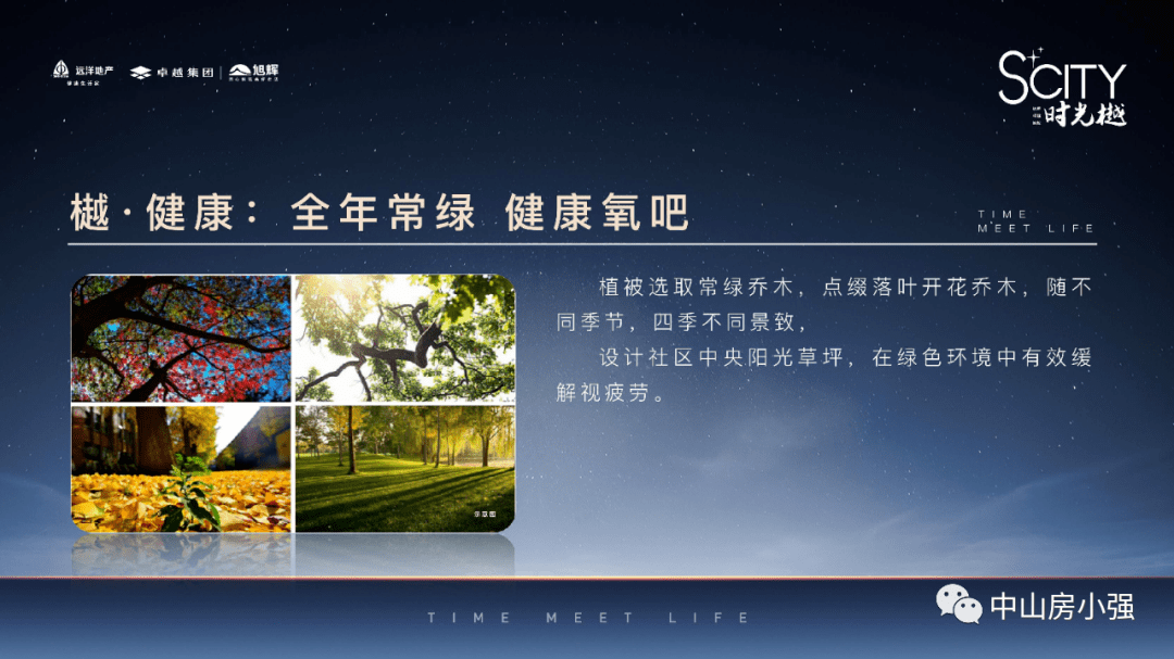 新澳天天开奖资料大全262期|精选解释解析落实