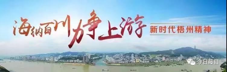 糯垌四灵公路最新进展