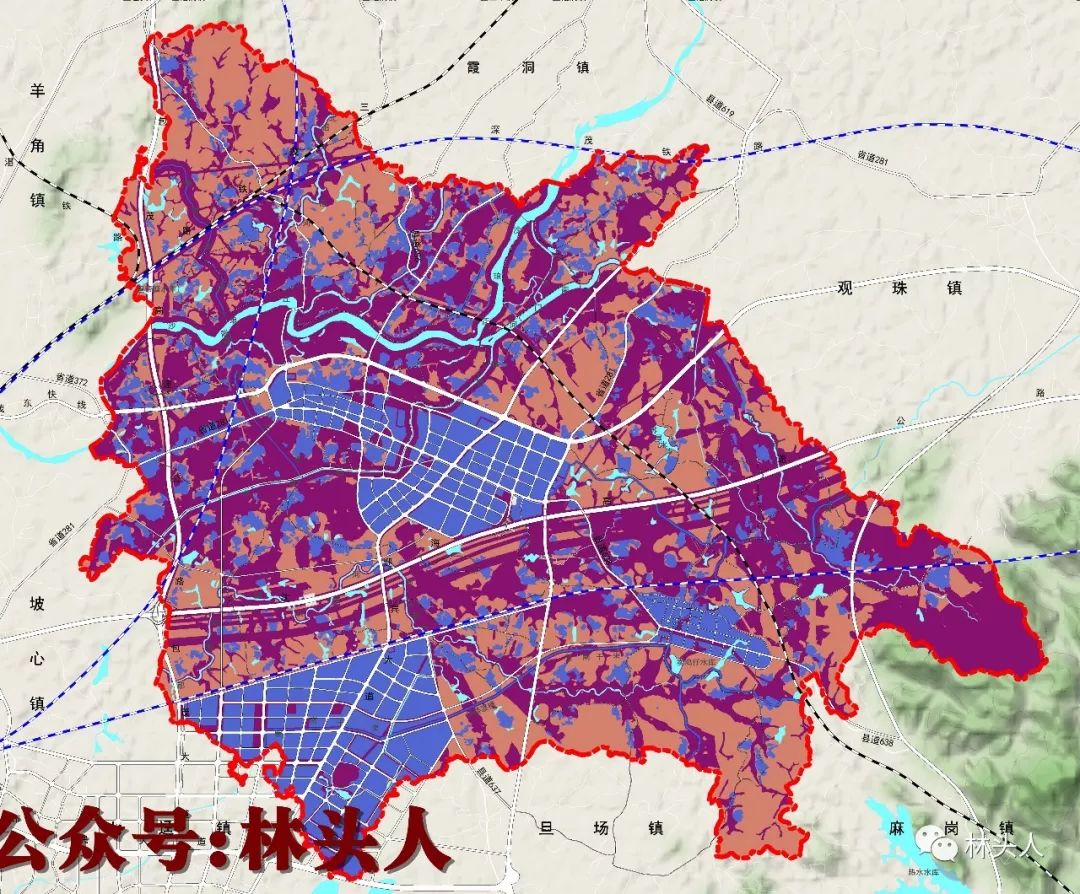 电白区林头最新规划图